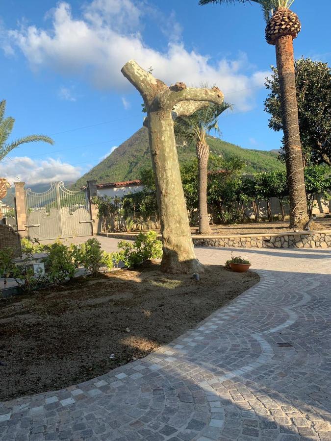 Villa Lucia Кастелламмаре-ди-Стабия Экстерьер фото